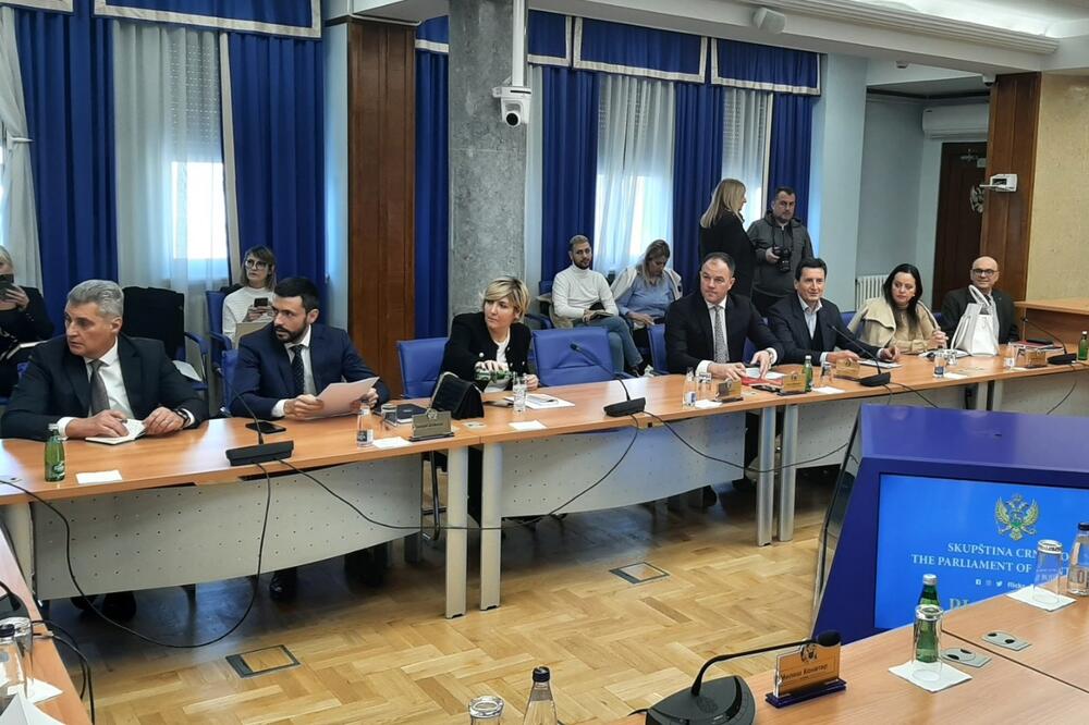 Sa sjednice, Foto: Nikola Dragaš