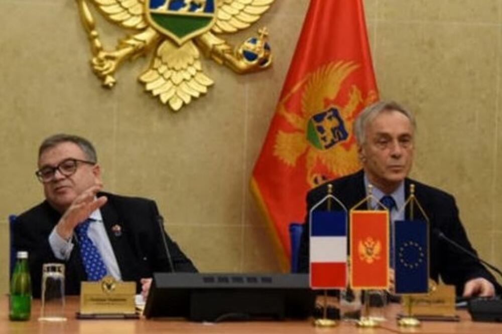 Timonije i Lekić, Foto: Demos