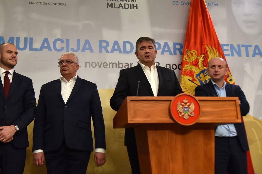 Postupak pred US pokrenuli radi zaštite ekonomskih interesa Crne Gore...:Lideri DF-a, Foto: BORIS PEJOVIC