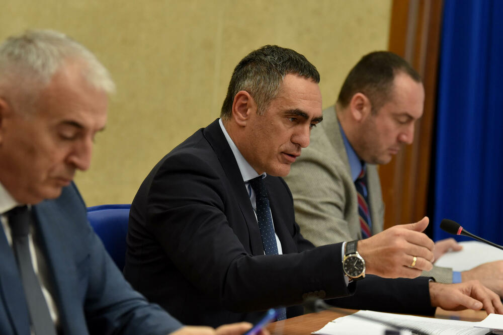 Stiglo 119 amandmana na predlog zakona o budžetu: Sa ranije sjednice Odbora za ekonomiju, Foto: BORIS PEJOVIC