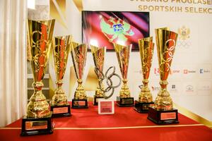 COK uručio nagrade najuspješnijim sportistima
