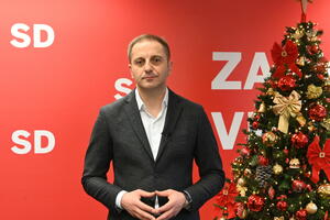 Šehović: Nećemo odustati od građanske Crne Gore, vratićemo je na...