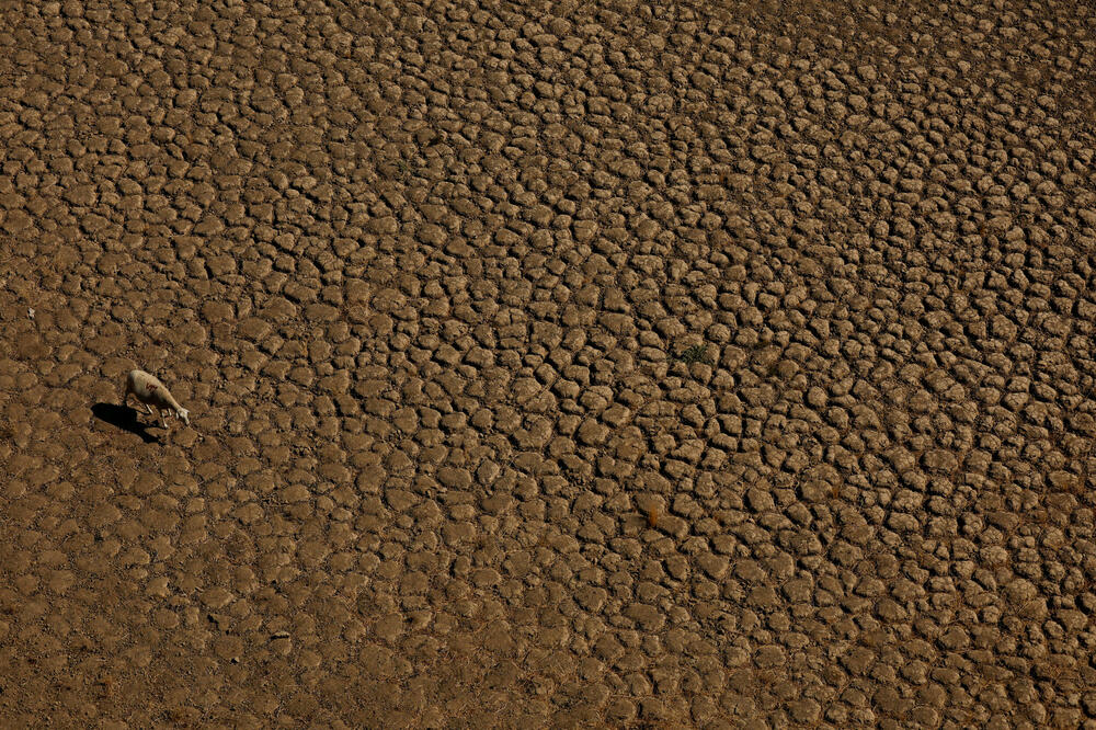Detalj iz Španije (avgust), Foto: Reuters