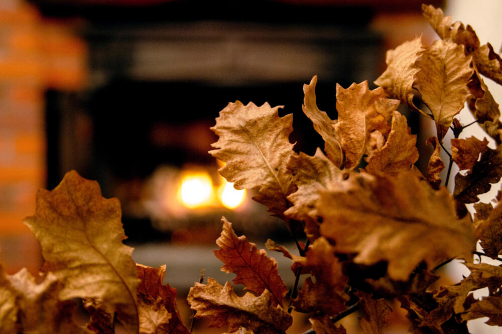 Ilustracija, Foto: Shutterstock