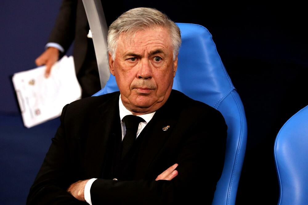 Anćeloti, Foto: Shutterstock