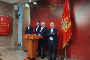 Mandić: Đukanović i Đurović da se dogovore o parlamentarnim i...
