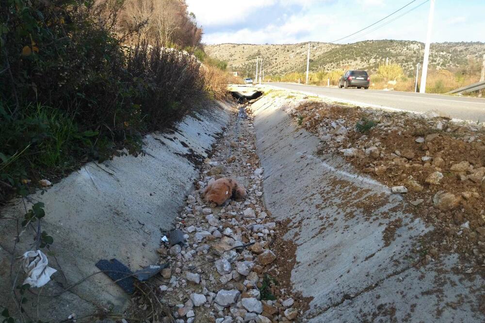 Sa mjesta nesreće, Foto: Samir Adrović