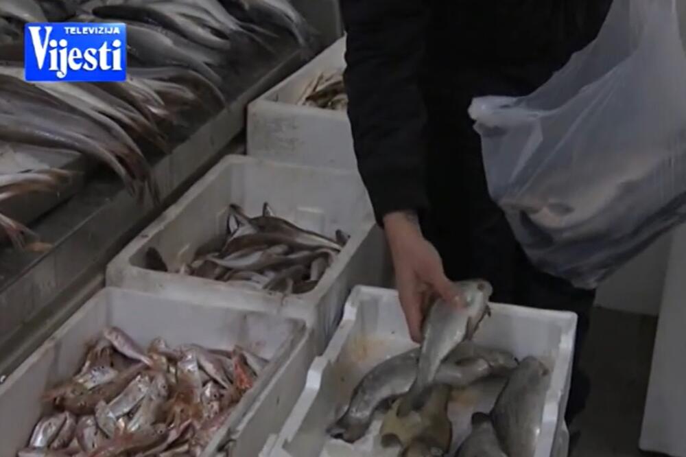 Foto: TV Vijesti