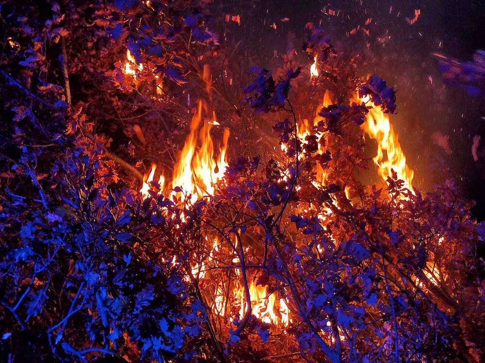 <p>"Večeras smo sabrani da nastavimo svijetlu tradiciju predaka", rekao je Joanikije</p>