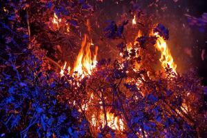 Nalaganje badnjaka širom Crne Gore prošlo bez incidenata