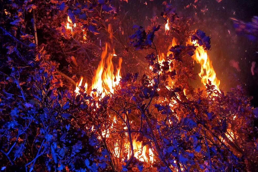 Sa nalaganja badnjaka u Podgorici, Foto: Mirko Kotlaš