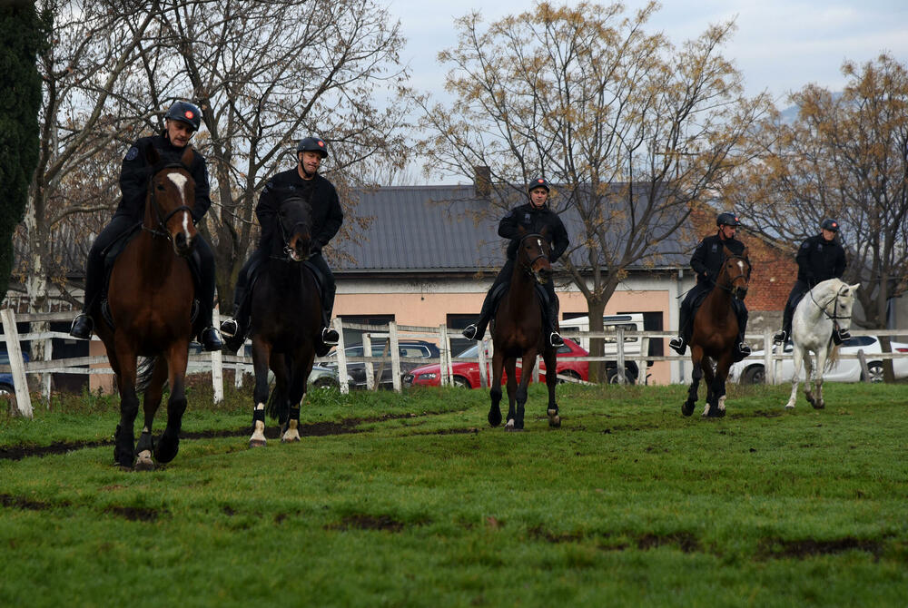 Spremni za sve zadatke: Konjica crnogorske policije