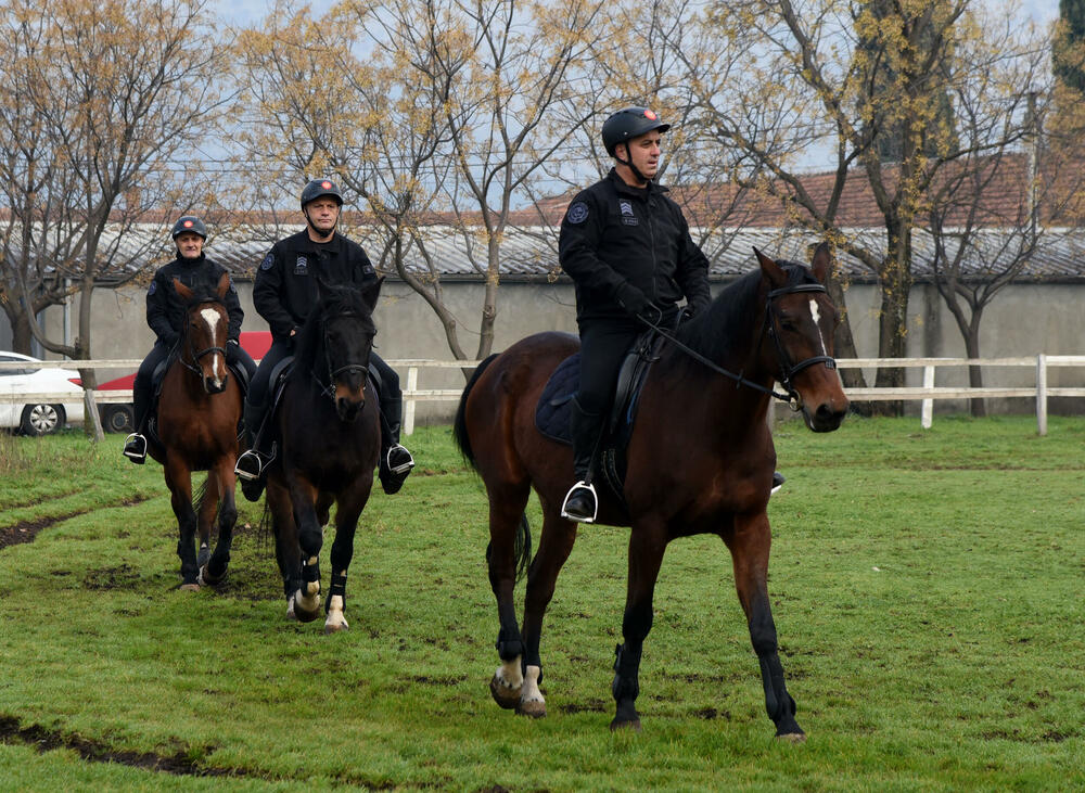 Naporni treninzi se isplate: Tim policije na konjima