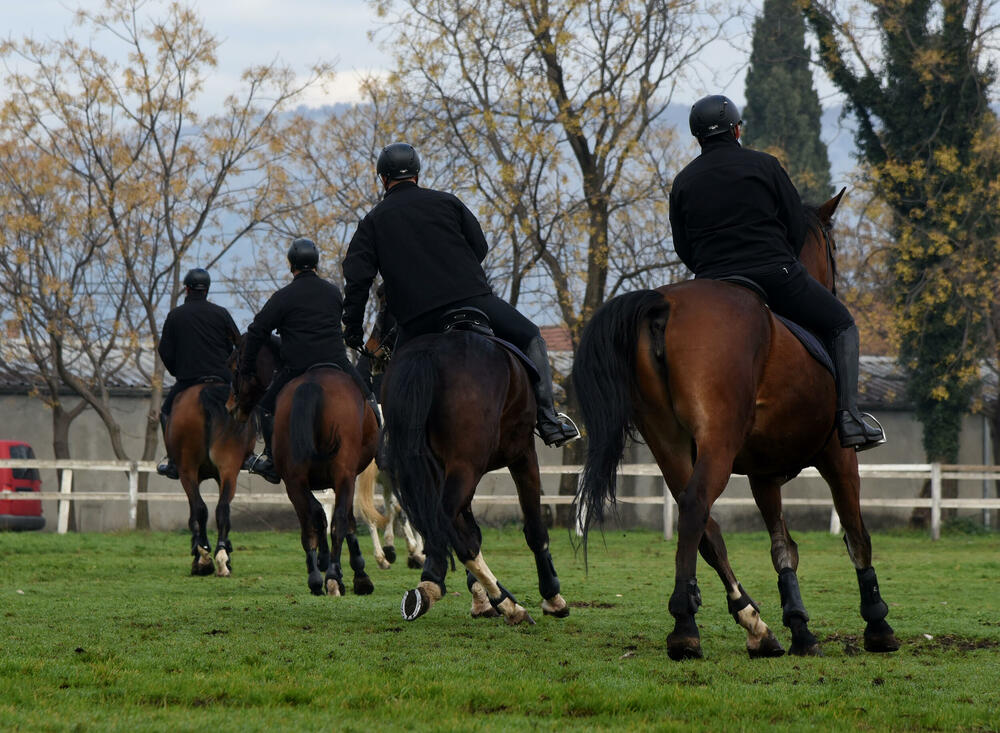 Uobičajeni trening jahanja