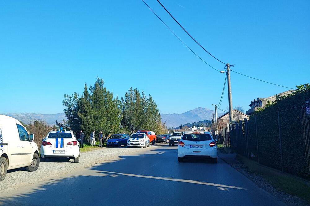 Foto: Saša Marković