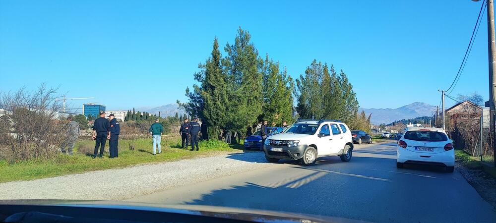 utopljenik Nikšićki most