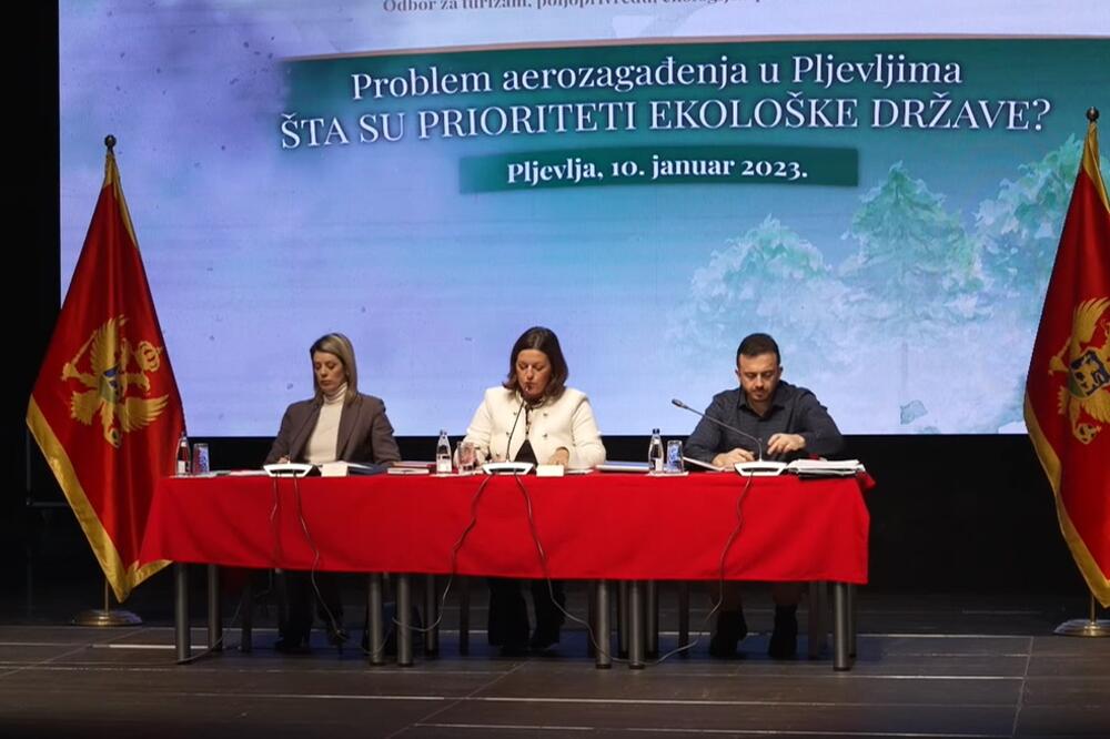 Foto: Youtube/Skupština Crne Gore