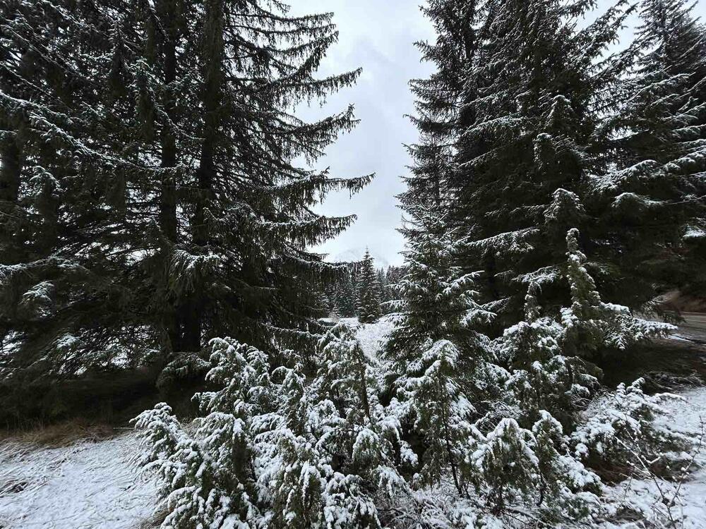 <p>Iz Meteo centra TV Vijesti sopštili su da će se na sjeveru naše zemlje tokom cijelog dana zadržati oblačno vrijeme, uz pad temperature.</p>