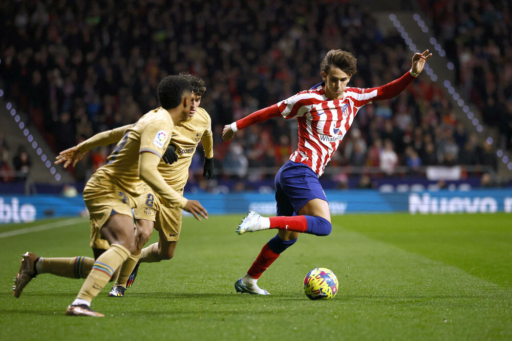 Feliks, Foto: Reuters