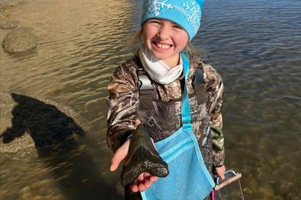 Moli sa pronalaskom u ruci, Foto: Alicia Sampson