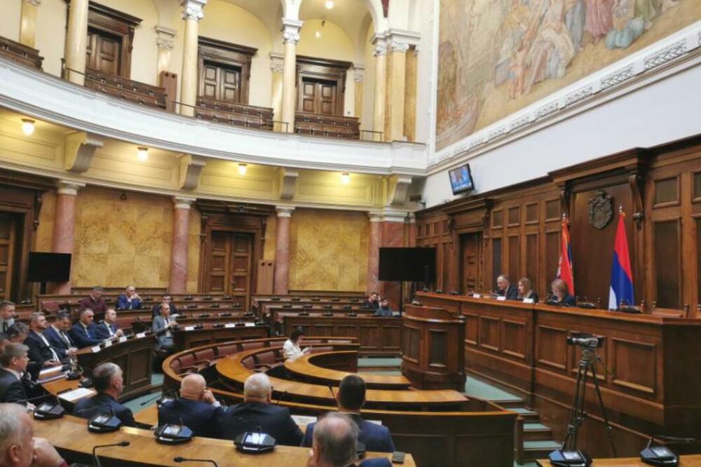 Učesnici sjednice Odbora za dijasporu i Srbe u regionu, Foto: parlament.gov.rs