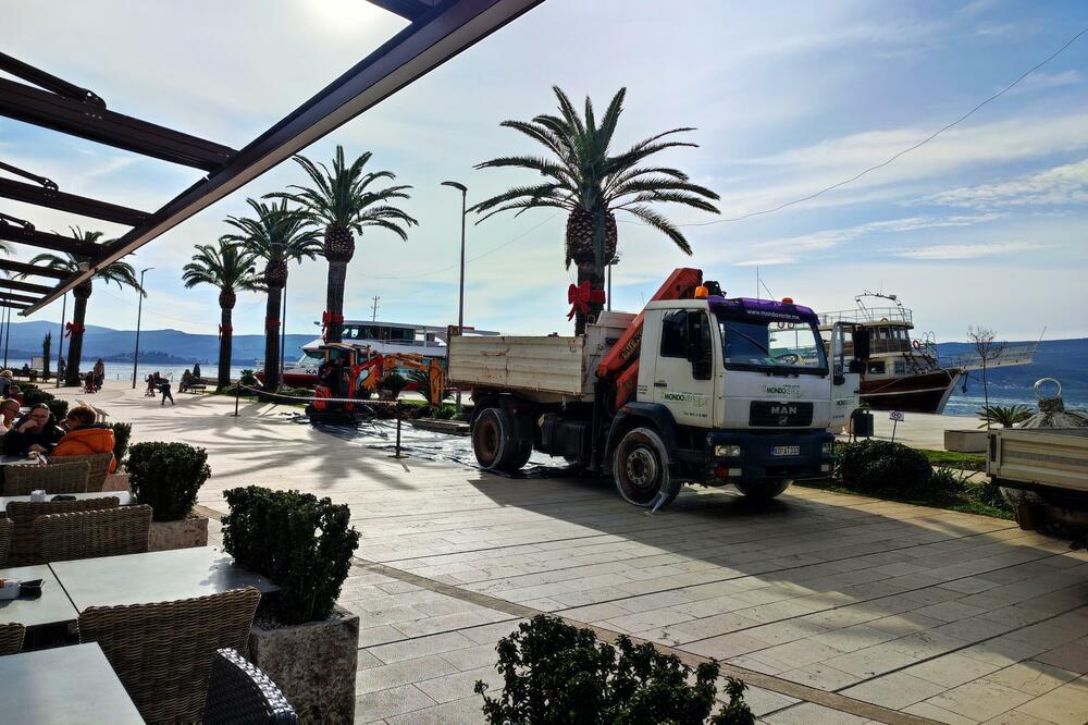 Foto: Siniša Luković