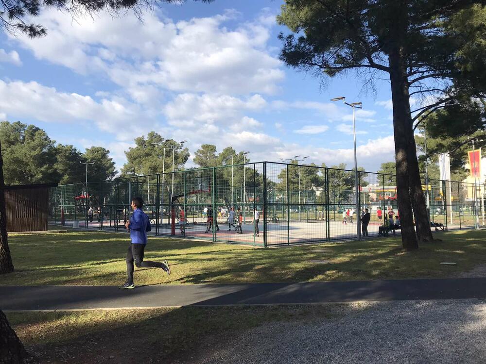 Miljana tološka šuma