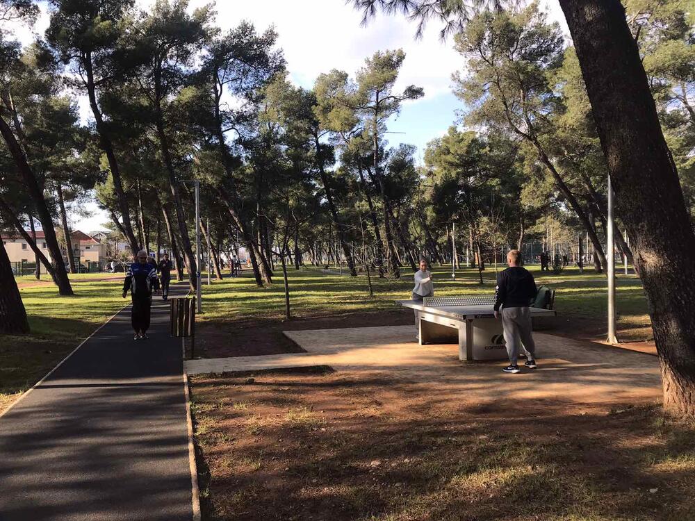 Miljana tološka šuma