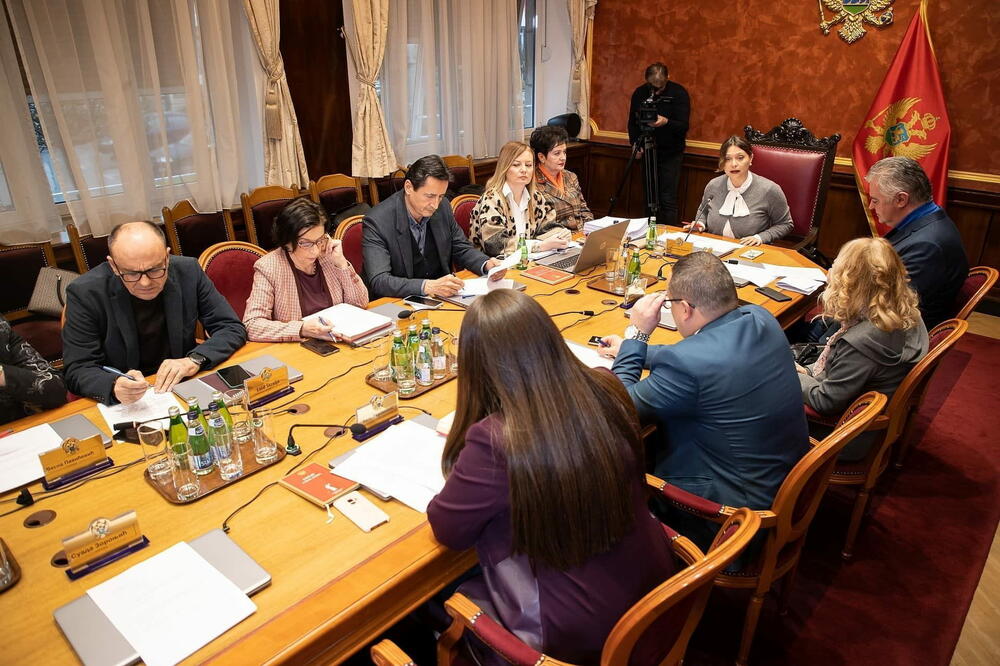 Ispravne prijave 26 kandidata: sa sjednice Ustavnog odbora, Foto: Skupstina