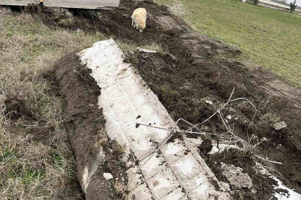 Foto: Samir Adrović