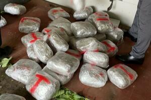 Četiri godine zatvora za šverc 221 kilograma "trave"