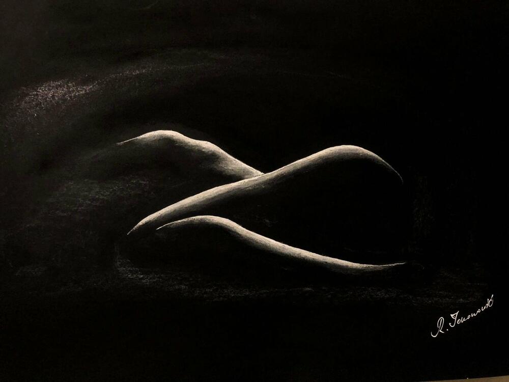 Jedan od Jovanovićevih radova