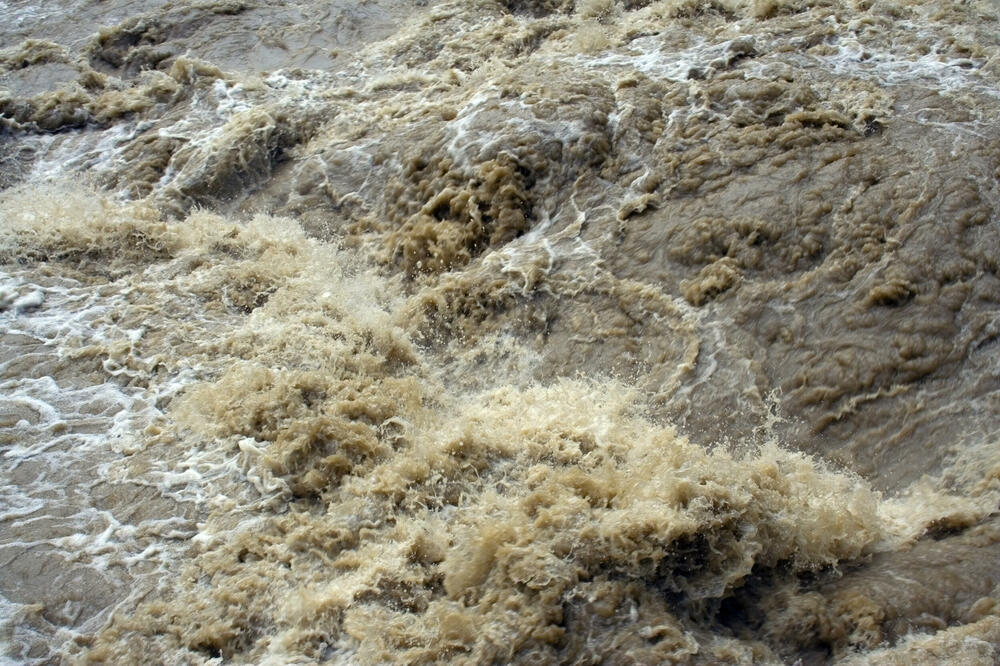 Ilustracija, Foto: Shutterstock