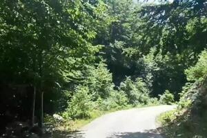 Podnijeli inicijativu za zaštitu šumskog kompleksa Seloštak