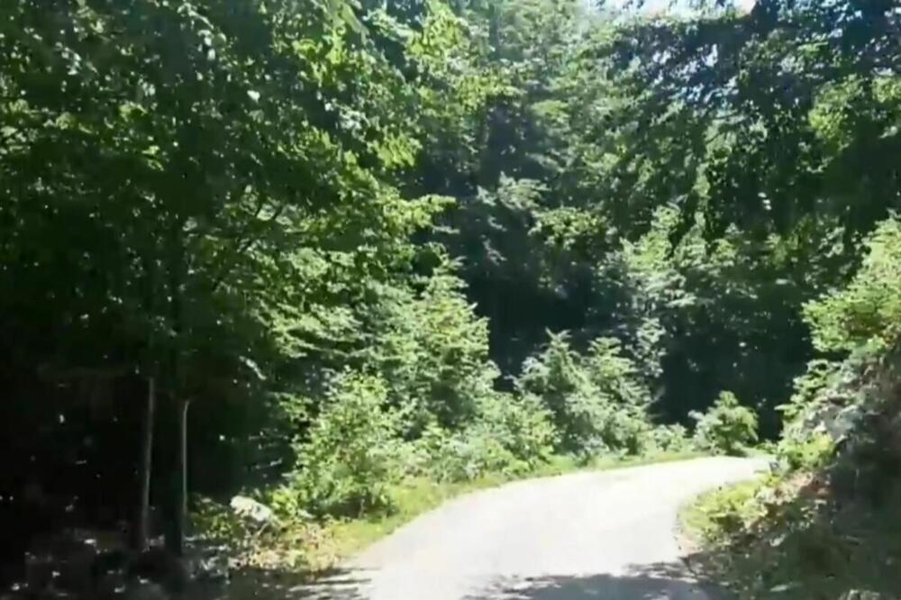 Foto: NVO Zagrad Montenegro