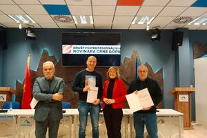 DPN: Nagrade za etičko izvještavanje za Monitor, Tomovića i Zadrimu