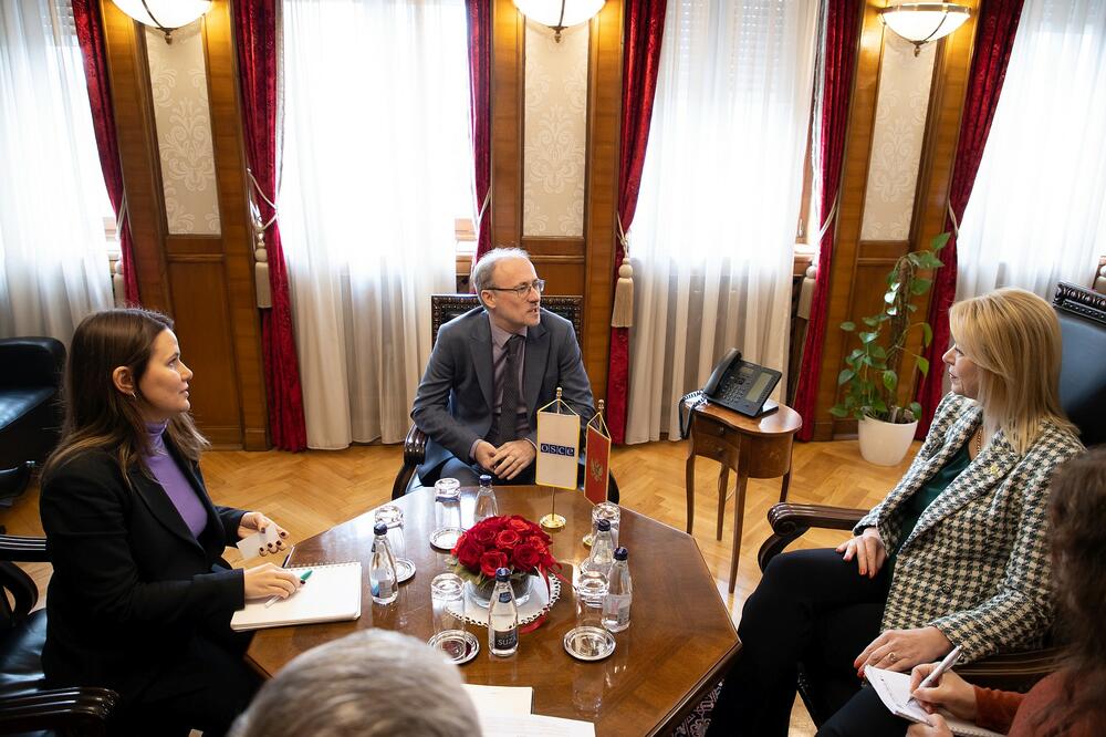 Sa sastanka, Foto: Kabinet Predsjednice skupštine