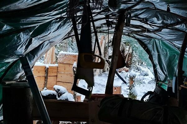 Skrivanje od Putinove mobilizacije u ledenim šumama odsječenim od...