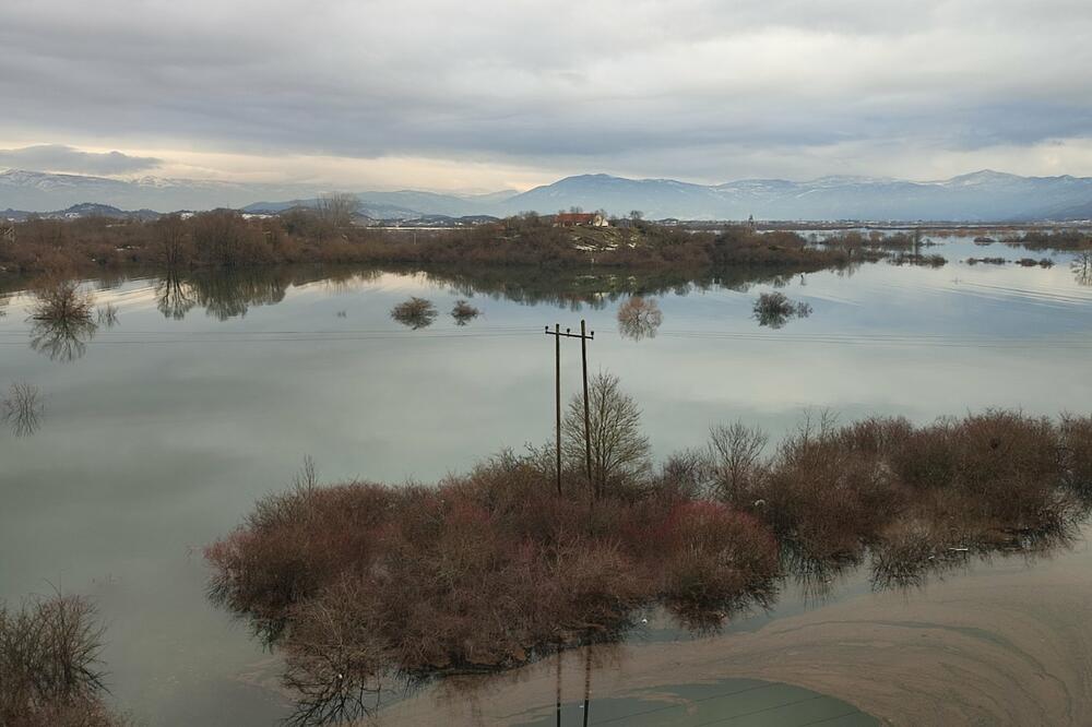 Foto: Svetlana Mandić