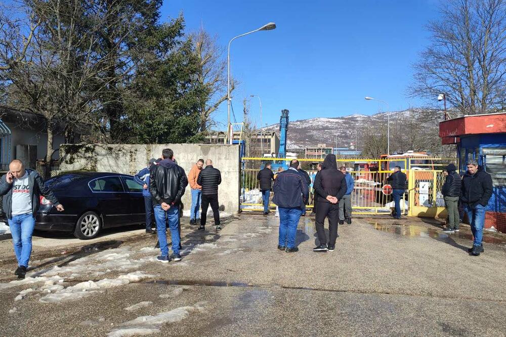 Foto: Svetlana Mandić