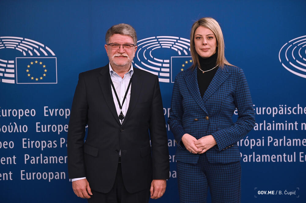 Novaković Đurović i Picula