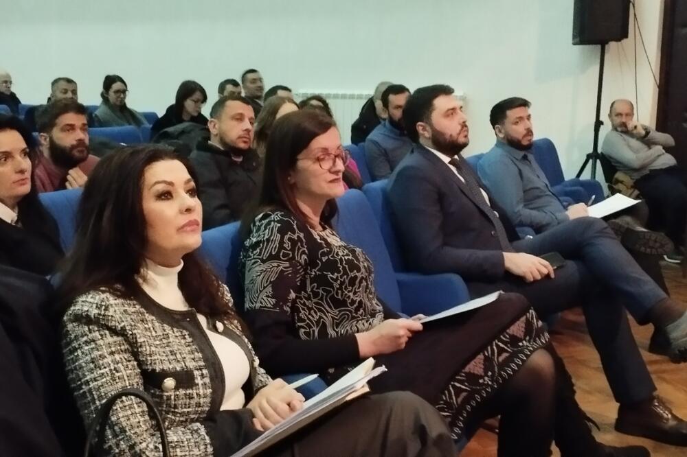 Detalj sa sjednice, Foto: Dragana Šćepanović