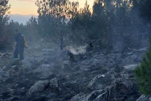 Lokalizovan požar na brdu Gorica, sumnja se da je bio podmetnut