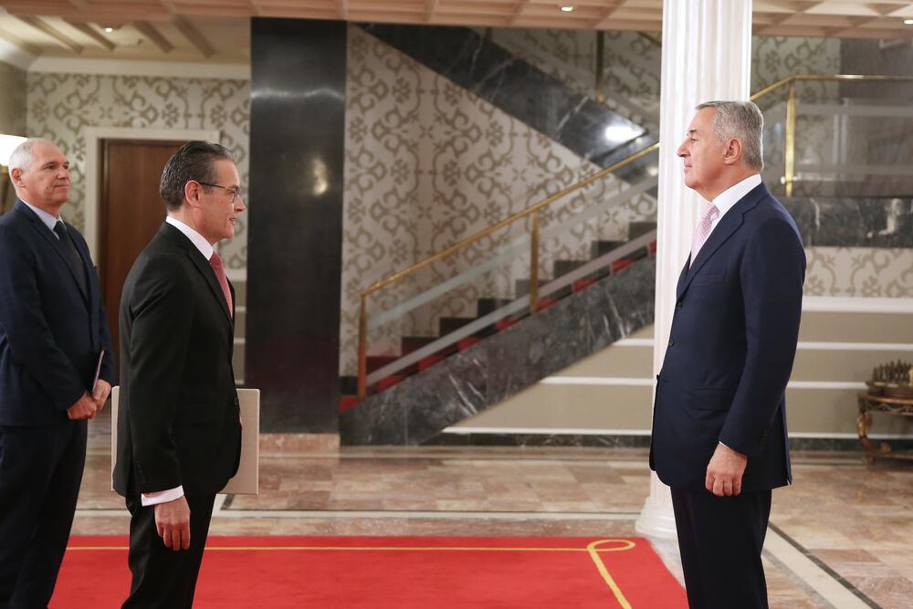 Đukanović ambasadori