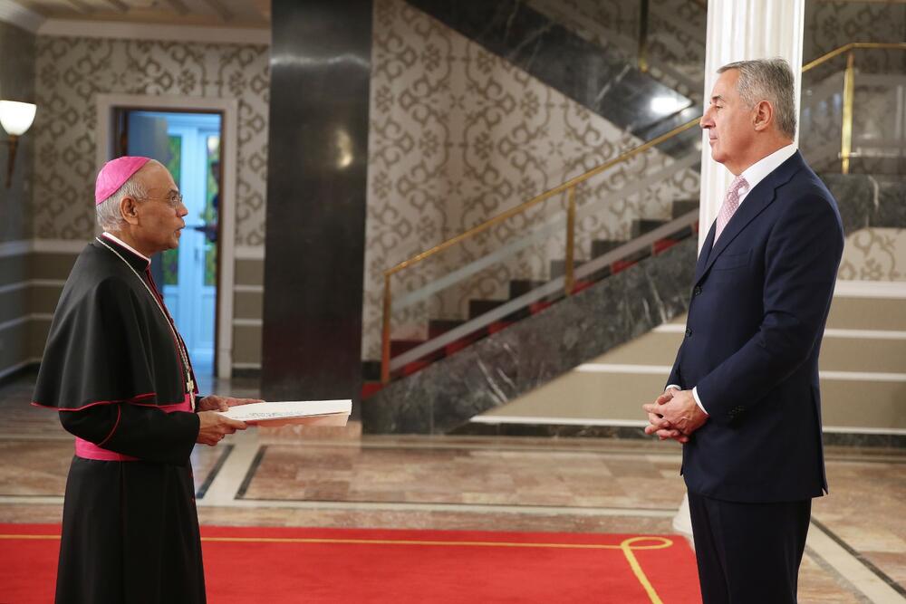 Đukanović ambasadori