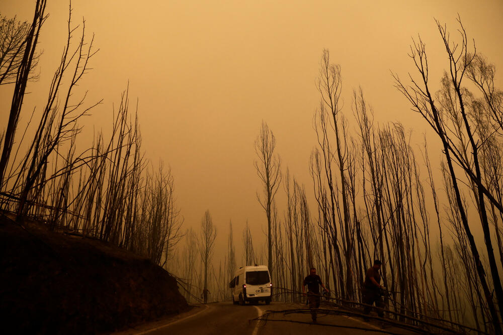 <p>Širom Čilea 151 šumski požar zahvatio je površinu na više od 14.000 hektara. Većina požara je u regionima Biobio i Nuble, gdje je vlada proglasila vanredno stanje</p>