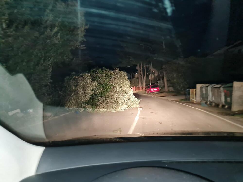 <p>Jaka bura, koja je na momente duvala i brzinom od preko 60 čvorova, pričinila je dosta problema i štete u Tivtu</p>