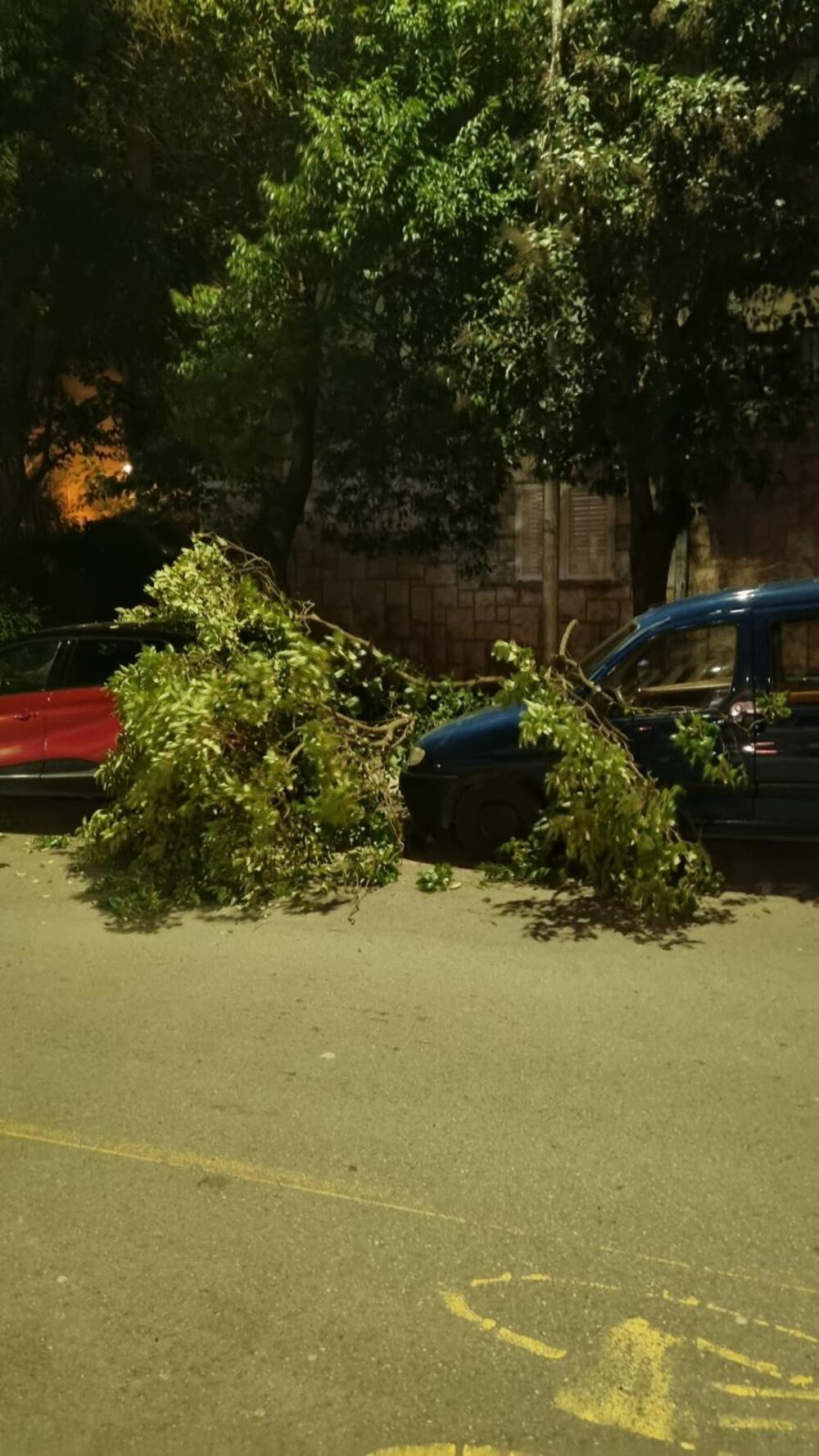 <p>Jaka bura, koja je na momente duvala i brzinom od preko 60 čvorova, pričinila je dosta problema i štete u Tivtu</p>