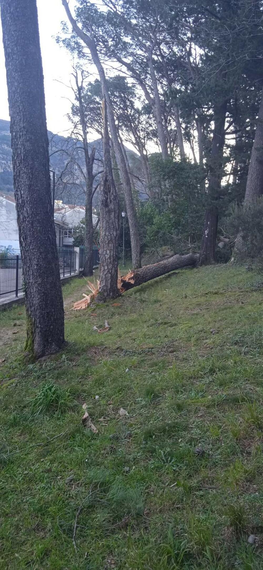 <p>Jaka bura, koja je na momente duvala i brzinom od preko 60 čvorova, pričinila je dosta problema i štete u Tivtu</p>