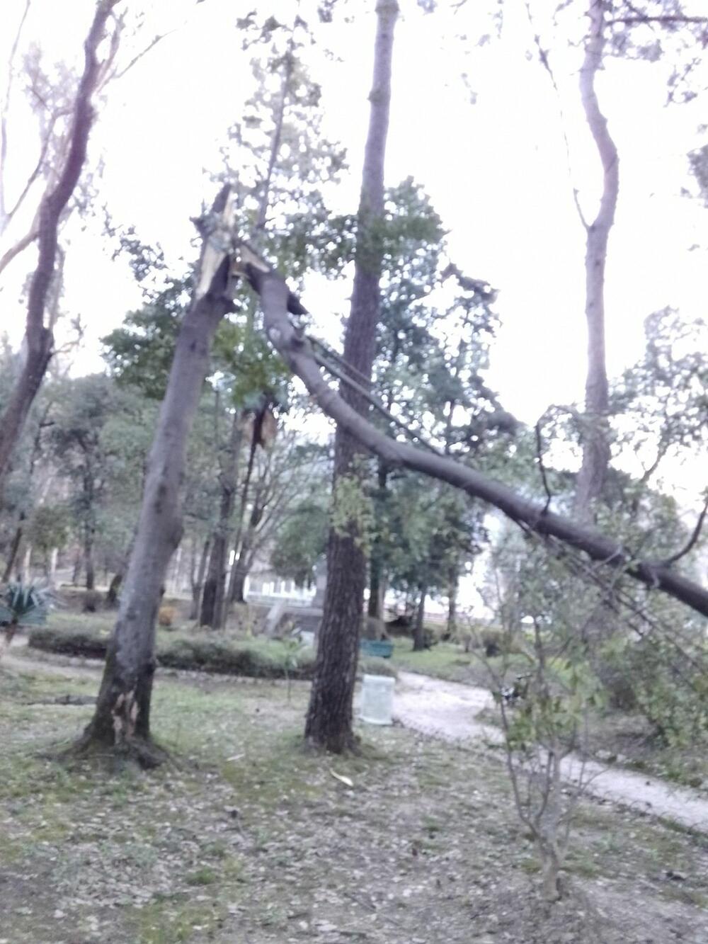 <p>Jaka bura, koja je na momente duvala i brzinom od preko 60 čvorova, pričinila je dosta problema i štete u Tivtu</p>